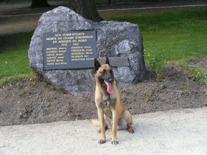 Adhoc De la plaine des cheyennes